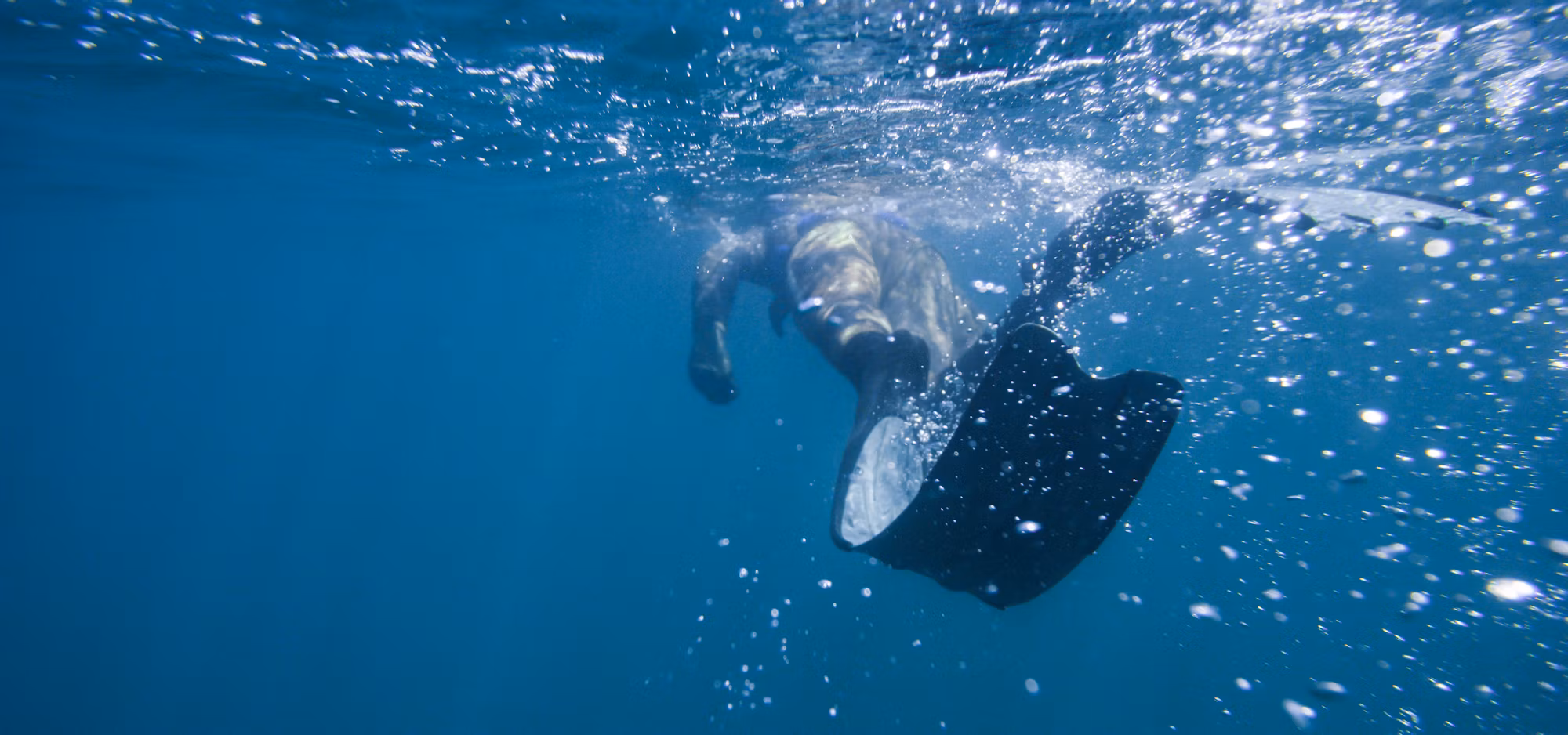 Beneath the Waves: A Journey Through the World of Diving